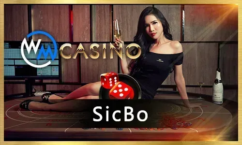 Mobile Poker Experience